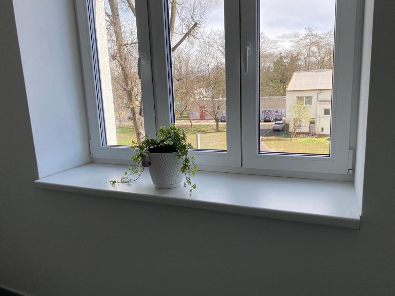 Perla Hradce Apartment Hradec Kralove Bagian luar foto
